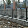 东莞市小区护栏院墙围墙护栏锌钢护栏围栏护栏厂家
