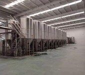 大型啤酒设备配置年产10万吨啤酒厂酿酒设备辽宁啤酒设备