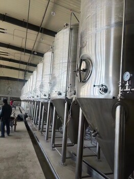 东营精酿啤酒厂啤酒设备20吨大型啤酒设备厂家