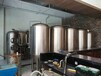 四川小型500升的精酿啤酒设备酿造啤酒的设备啤酒设备厂家