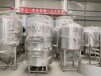 陕西3000升酿造精酿啤酒的设备酒店餐厅啤酒设备