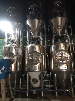 广东小型精酿啤酒设备酒吧600升啤酒设备啤酒糖化设备