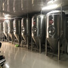 天津酒吧精釀啤酒設備釀啤酒的設備500升啤酒發酵罐