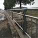 揭阳Q235桥梁防撞护栏厂家高速大桥栏杆定做价格河道景观护栏