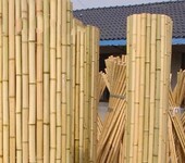 竹制品发霉找除霉剂厂家供应商