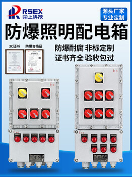 BXM防爆配电箱动力照明电控箱动力仪表检修柜隔爆开关电源按钮