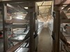 层叠式养鸡设备鸡笼厂热售热镀锌笼网可定制4列4层蛋鸡笼