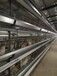 鸡笼厂热售热镀锌养鸡设备自动捡蛋机可定制多层蛋鸡笼