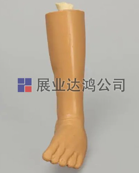 美国SAWBONES儿科脚部解剖模型1518-12-1