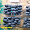 藍豐藍莓苗丨營養杯藍豐藍莓苗高產品種推薦
