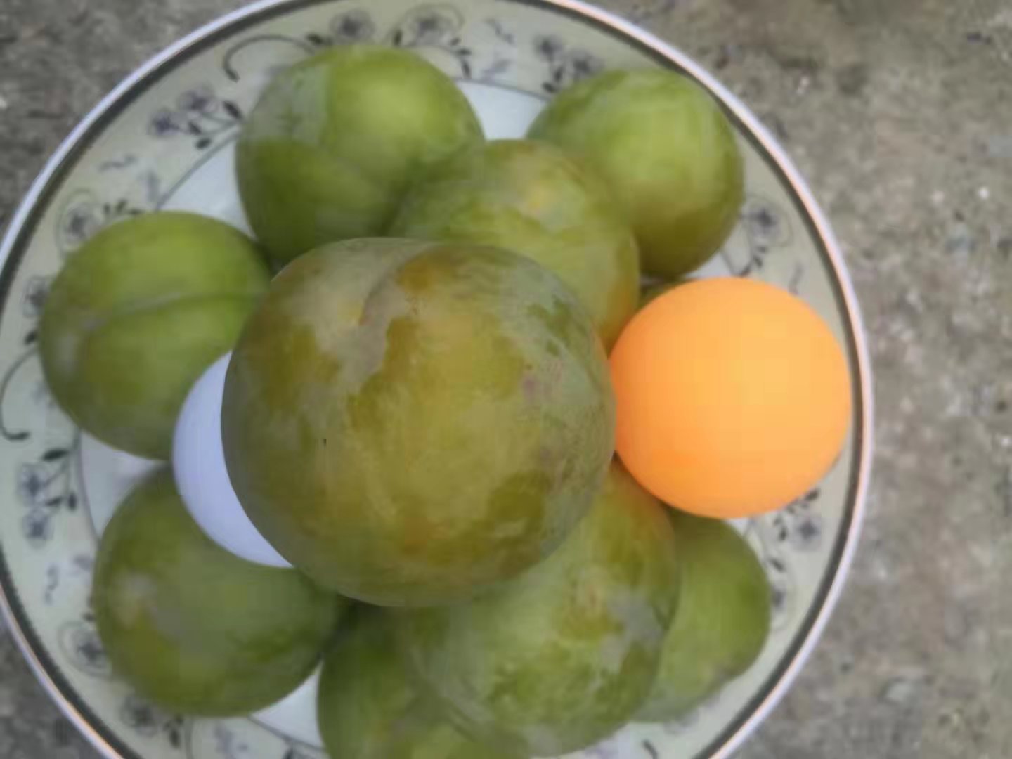 湖北襄樊蜂糖李苗種植技術(shù),湖北襄樊蜂糖李苗貨源