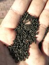 碳分子篩回收