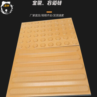 全瓷盲道砖国家标准广西盲道砖品牌/厂家/供货标准8图片6