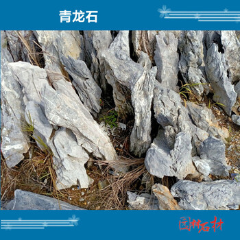 廣東英德英石之鄉(xiāng)青龍石產(chǎn)地石場直售一件批發(fā)