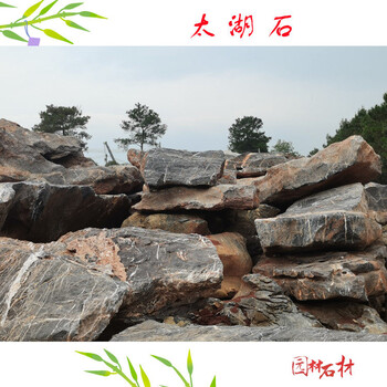 杭州产地太湖石货源庭院假山石景观石太湖石