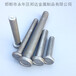 磁環焊釘廠圓柱頭焊釘栓釘剪力釘磁環焊釘質量