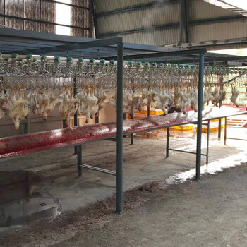 安徽蚌埠淘汰鸡宰杀设备肉鸡屠宰生产线