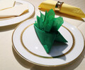 河南歐尚美家居用品有限公司出售：彩色餐巾紙，純木漿餐巾紙