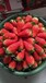 妙香七號草莓苗種植介紹，妙香七號草莓苗價格及報價