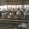 食用油精煉設備-農村扶貧項目-油脂深加工提煉機組