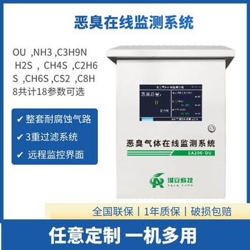 浙江绍兴恶臭监测设备供应EA200-OU恶臭在线监测系统