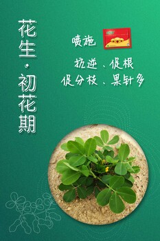 蕓樂收花生高產(chǎn)套餐蕓樂收出廠價格花生三遍藥