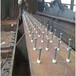 磁环焊钉厂剪力钉栓钉圆柱头焊钉批发商