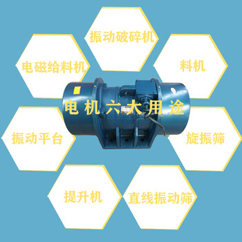 YZU-50-6振動(dòng)電機(jī)3.7KW振動(dòng)電機(jī)
