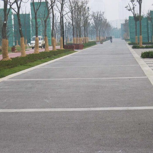 天津旅游景区环保彩色路面铺设