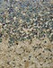 陕西米黄色砾石聚合物地坪施工彩色洗砂缓凝剂