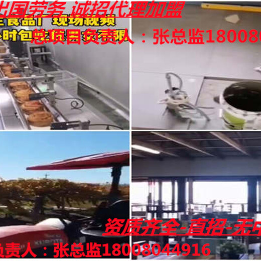 天津南开一手正规出国劳务公司-安全保障有依靠-假日酒店招工