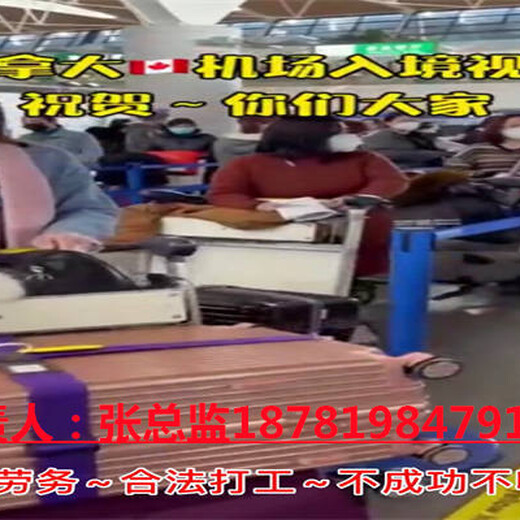 上海虹口压路机司机-正规出国打工劳务派遣公司-年薪37-55万
