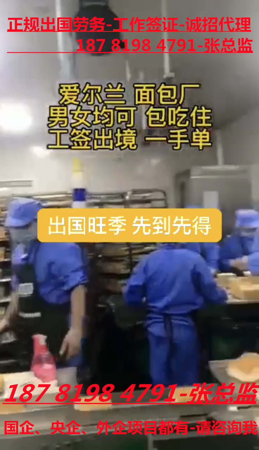 仙桃正规出国劳务公司东北菜，大锅饭厨师（工资/好行情）