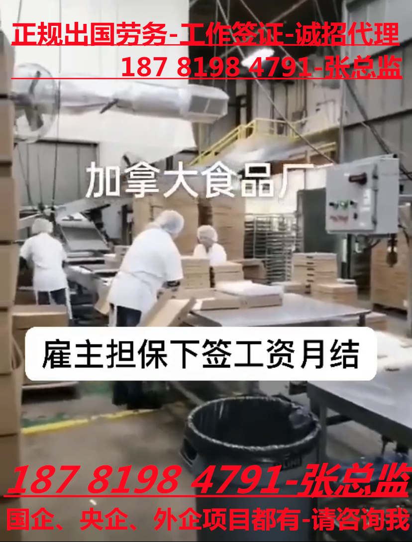 广东惠州以色列建筑工地-正规劳务出国打工派遣-包吃住月薪4万