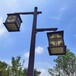 公园庭院景观灯-保定定州道路景观灯-双臂庭院灯
