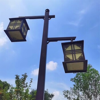 公園庭院景觀燈-保定定州道路景觀燈-雙臂庭院燈