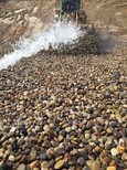 果洛大型鹅卵石草坪点缀/水处理鹅卵石滤料一吨价格图片5