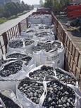 浙江天然鹅卵石/变压器鹅卵石滤料地区加盟商图片5