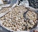 喀什钢厂鹅卵石/鹅卵石滤料质量标准