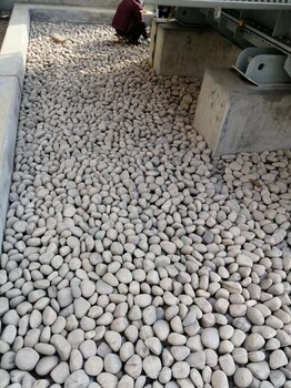 潮州钢厂鹅卵石/变压器鹅卵石滤料一吨价格