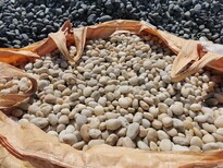 马鞍山园林绿化鹅卵石/水处理鹅卵石滤料产地图片3