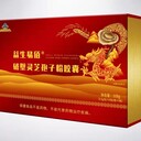 益生易佰破壁靈芝孢子粉膠囊