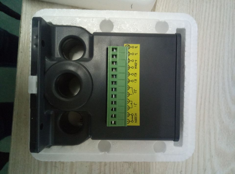 遂宁WP-CD-B2-01-00-23-NN超大屏幕单回路数字显示控制仪价格