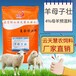 羊的飼料用量母羊預混料品牌云天慧農羊母子壯母羊奶量多飼料
