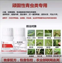 青蟲殺不死，加上這個新藥，殺蟲又殺卵！圖片