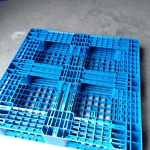 平板塑胶托盘地台板栈板叉车物流周转防潮板