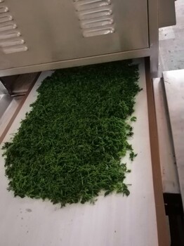 平利絞股藍(lán)微波殺青機