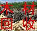 北京回收旧木头电话，北京上门回收铁公司，北京附近回收木方公司图片