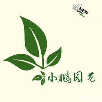 西城园林养护电话，西城种树公司，西城砍树电话，西城种草坪公司