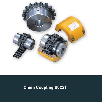 ChainCoupling8022Tfordeck鏈條聯軸器